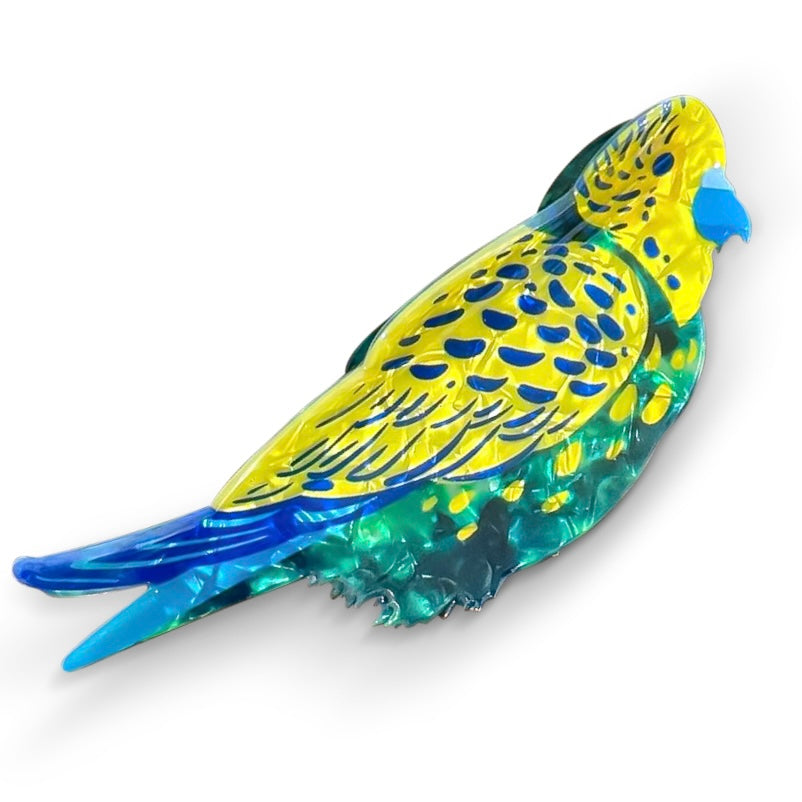 Pince à Cheveux Oiseaux Multi